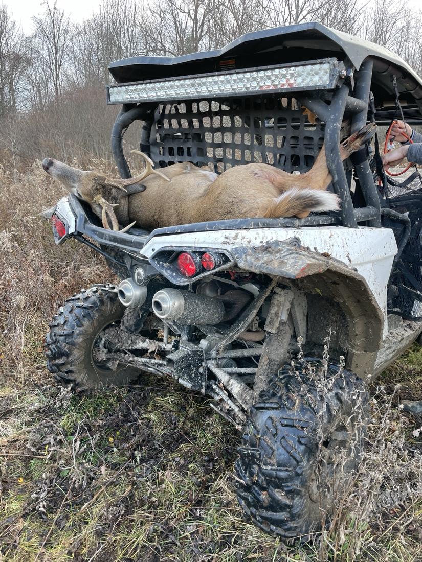 Buck loaded on the side-by-side for the ride back